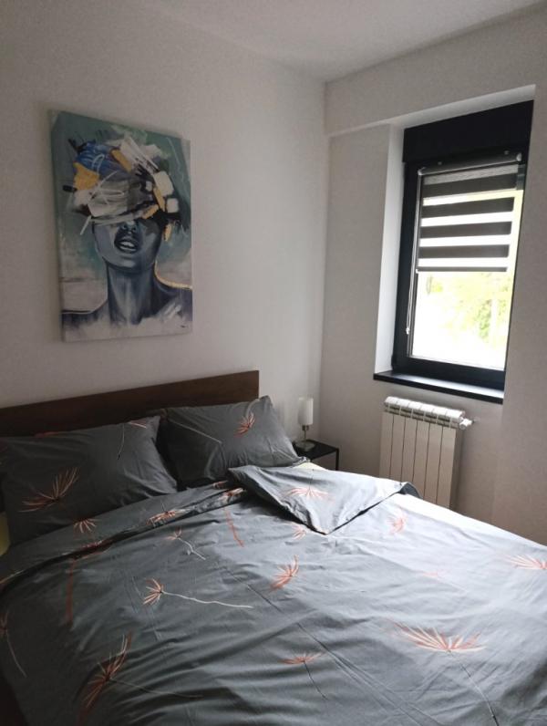 Slika 6 - Jednoiposoban, 50m2, Palilula Niš, sa terasom, ima lift