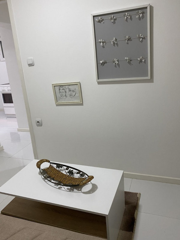 Slika 7 - Dvoiposoban, 45m2, Crveni Pevac Niš, sa terasom